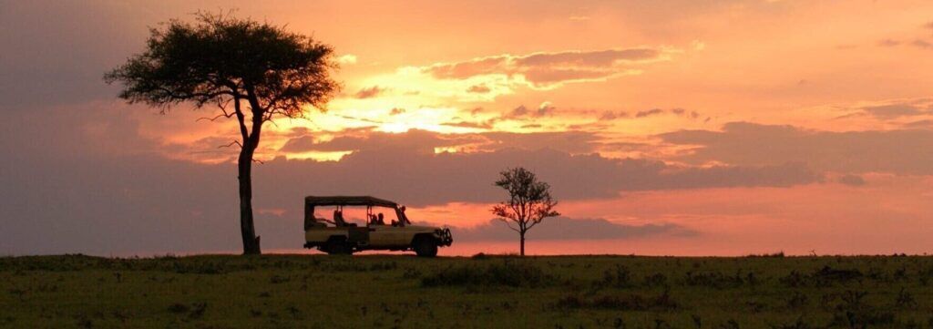 maasai-mara-7