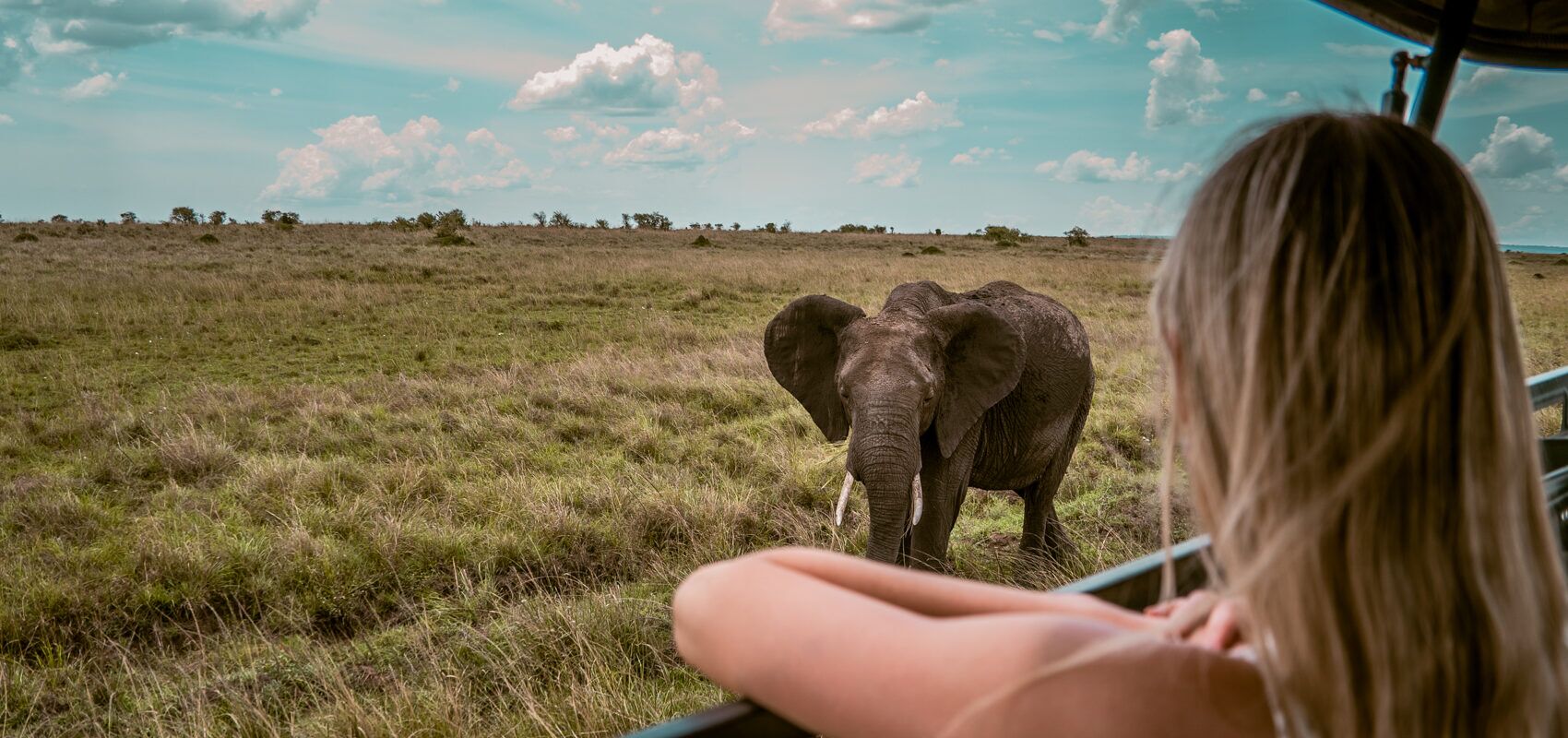 persona mirando un elefante desde su jeep en su viaje por África
